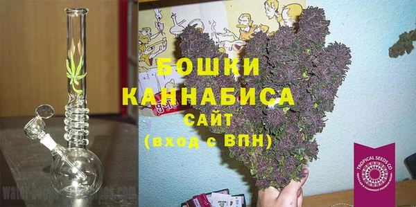 эйфоретик Гусев