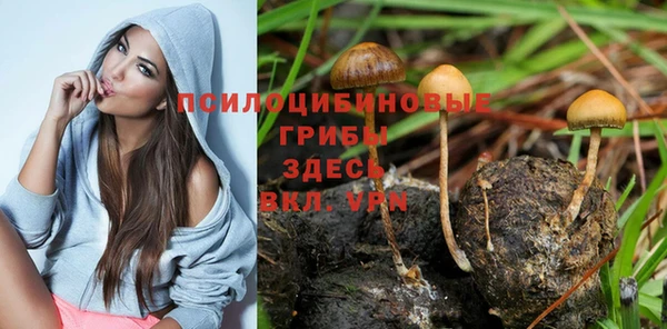 героин Горняк