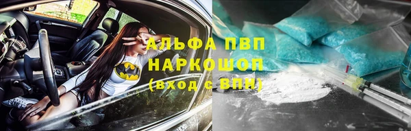 эйфоретик Гусев