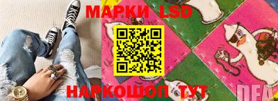 кокс Донской