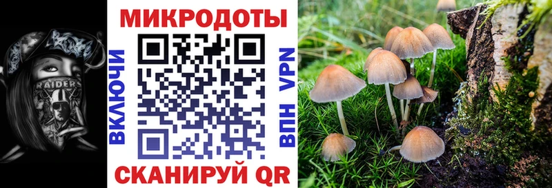 мега зеркало  Муравленко  Псилоцибиновые грибы Magic Shrooms  продажа наркотиков 